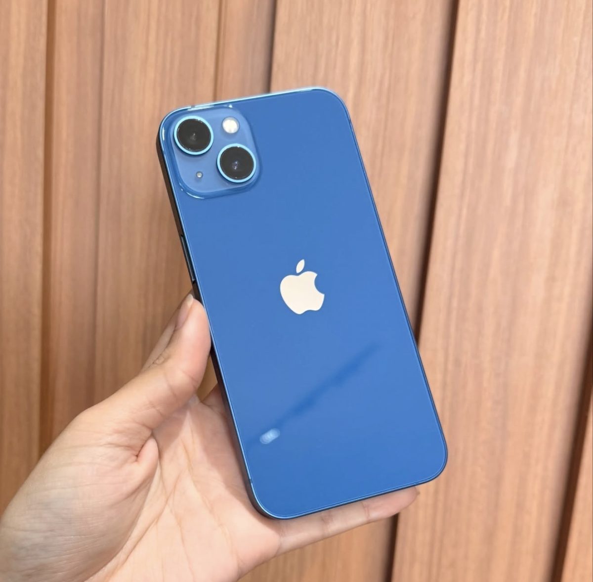 iPhone 13 128 (seminuevo)